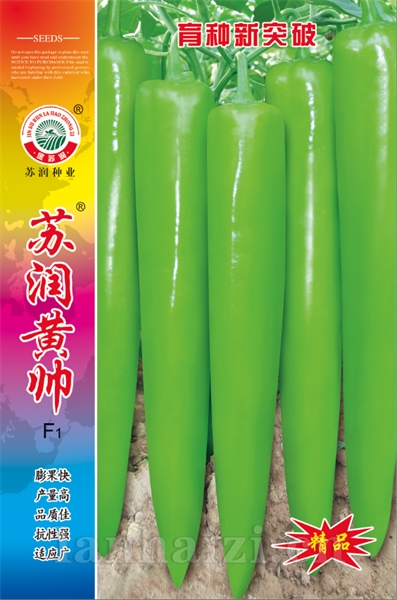 苏润黄帅