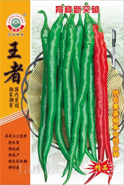 王者