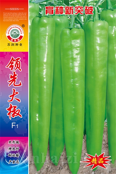 ***大椒
