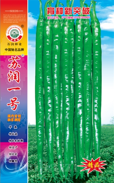 苏润一号