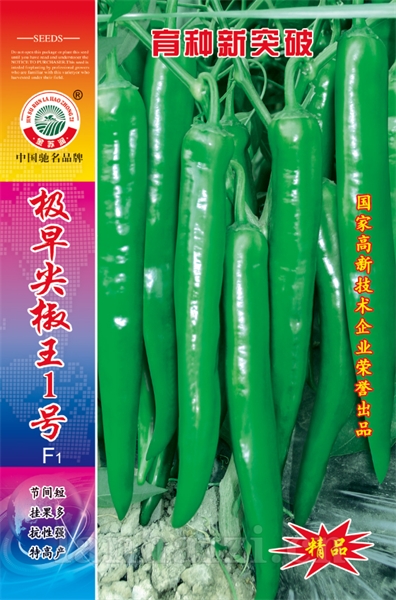 极早尖椒王一号