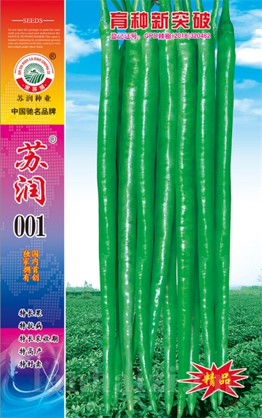 苏润001