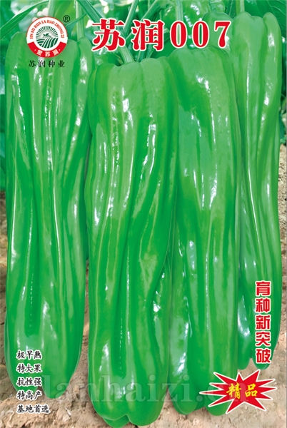 苏润007
