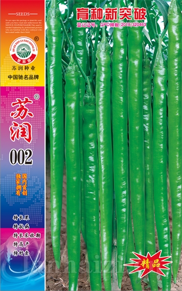 苏润002