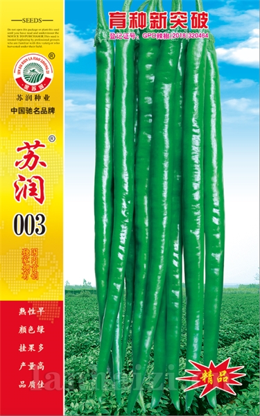 苏润003