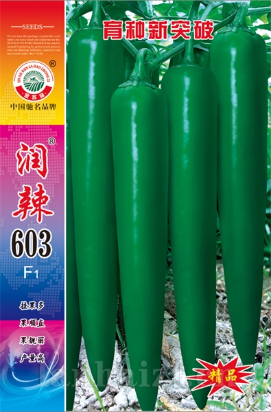 润辣603