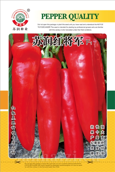 苏润红将军