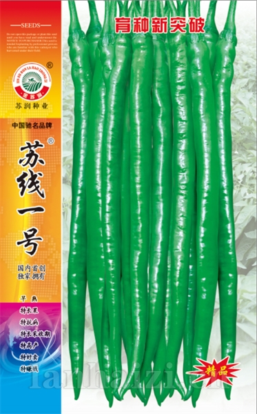 苏线一号