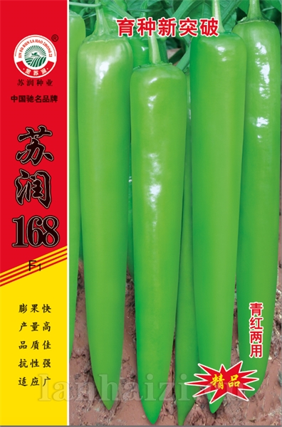 苏润168