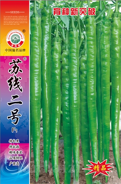 苏线二号