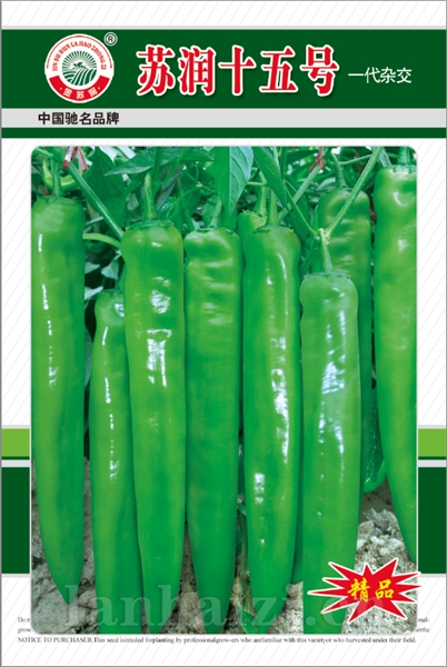 苏润十五号