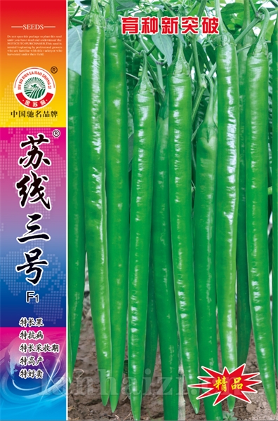 苏线三号