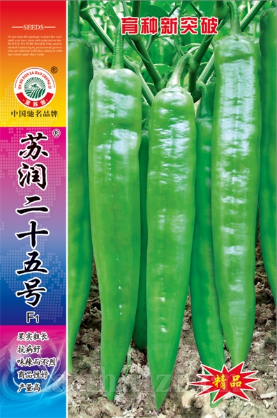 苏润二十五号
