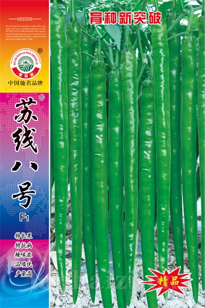 苏线八号