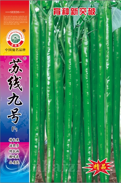 苏线九号