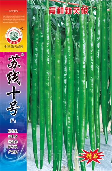 苏线十号