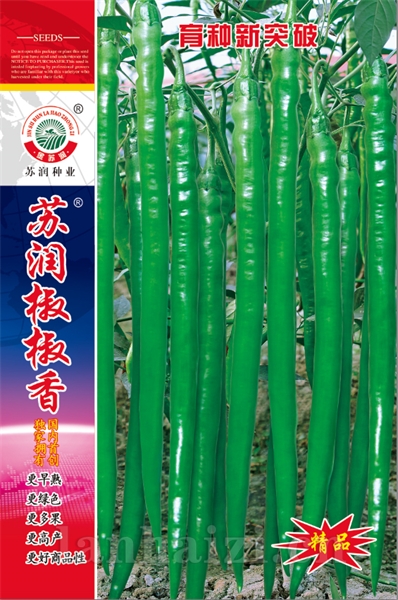 苏润椒椒香