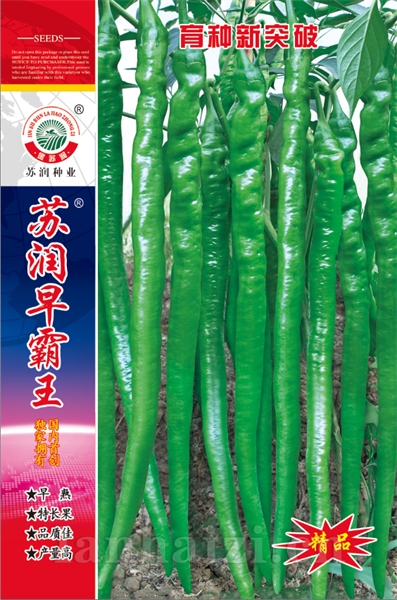 苏润早霸王