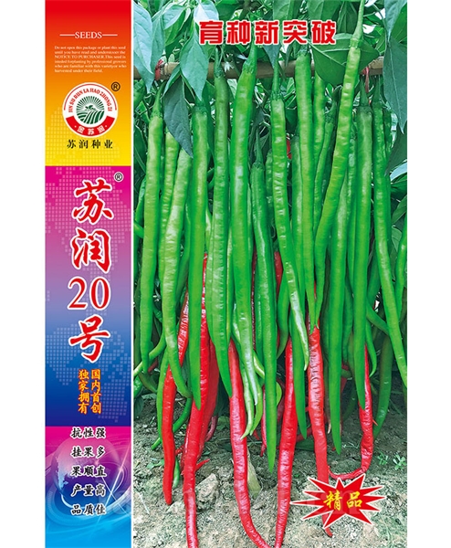 苏润20号