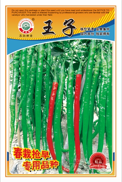 王子