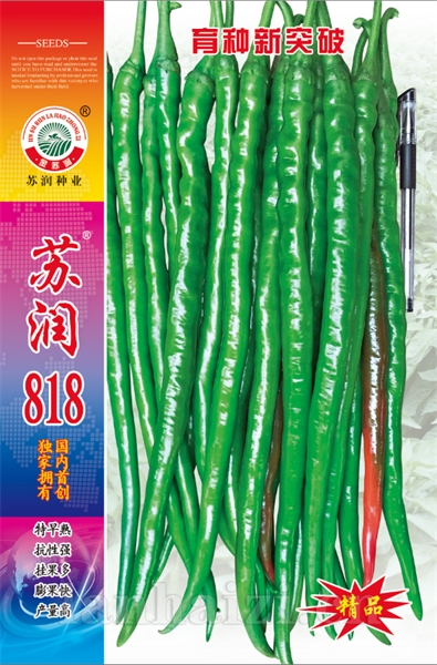 苏润818新版