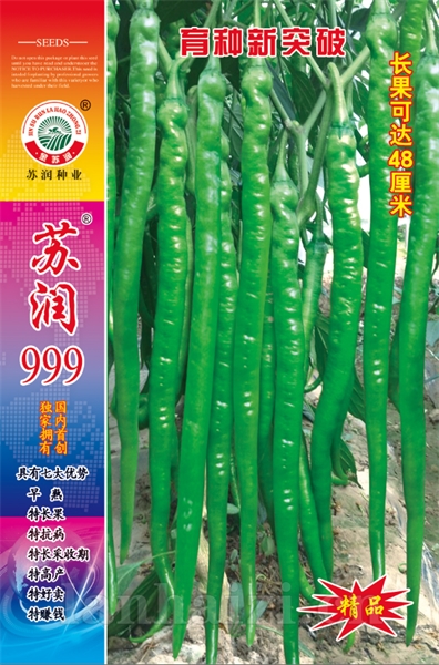 苏润999