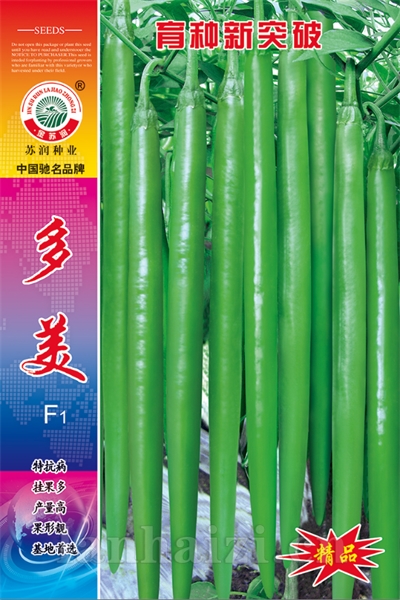 多美