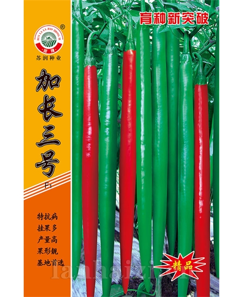 加长三号