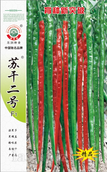 苏干二号