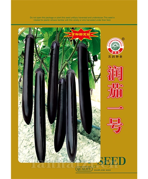 润茄一号