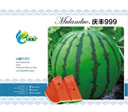 庆丰999——西瓜