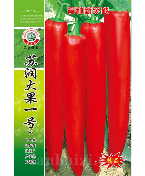 苏润大果一号