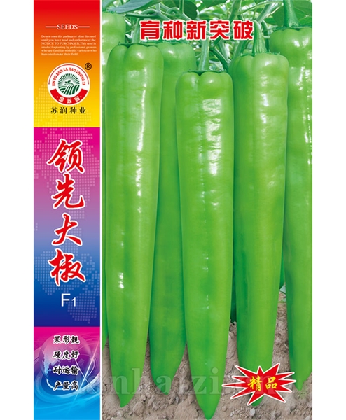 ***大椒