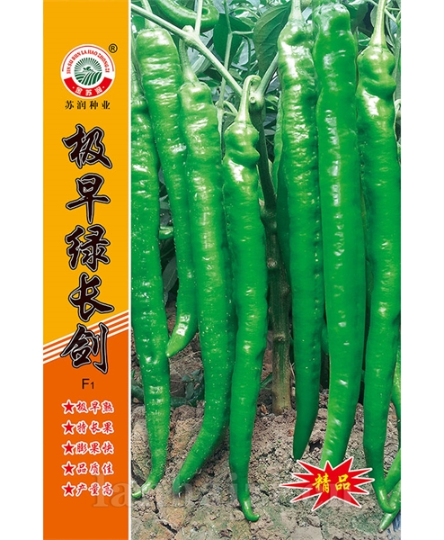 极早绿长剑
