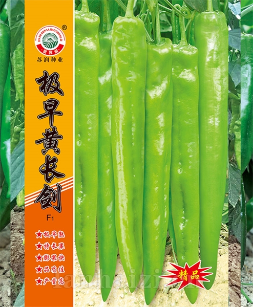 极早黄长剑