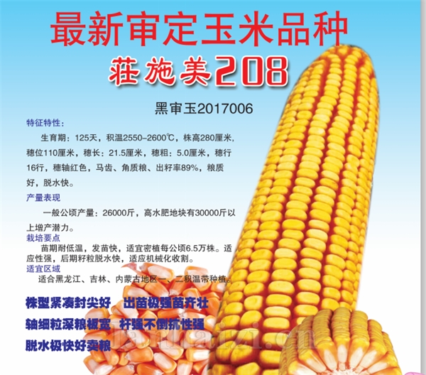 荘施美208