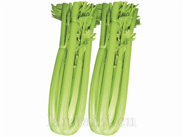 皇玉