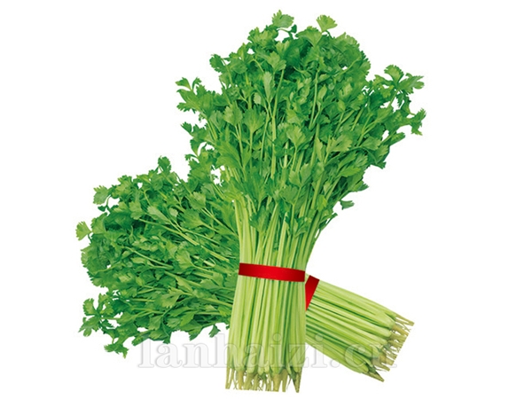 华盛香芹