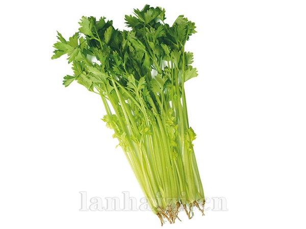 华盛快芹