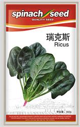 瑞克斯——菠菜