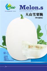 天山雪梨脆——甜瓜