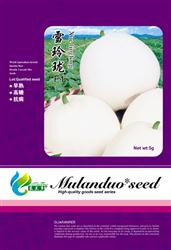 雪玲珑——甜瓜