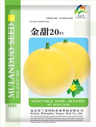 金甜20——甜瓜