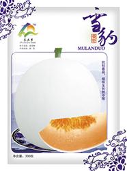 雪豹——甜瓜