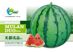 美都优品——西瓜