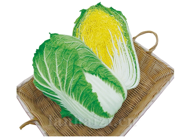 CR春峰