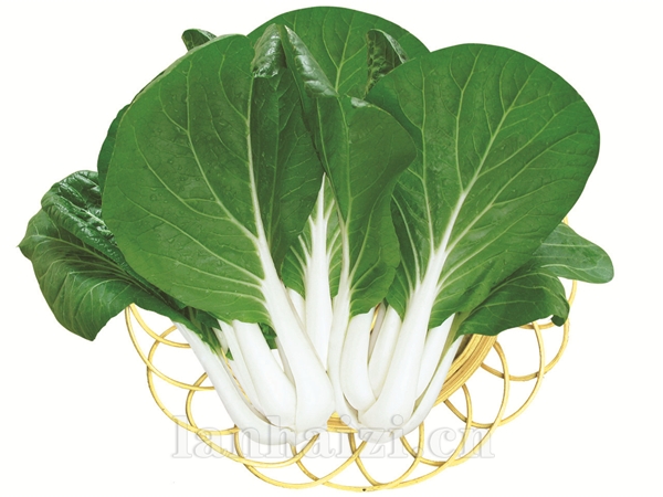 玉玲珑二号