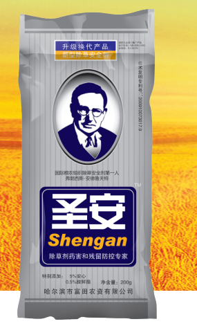 圣安