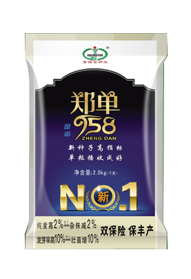 绿宝石、NO.1