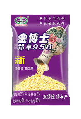 粉彩青花瓷